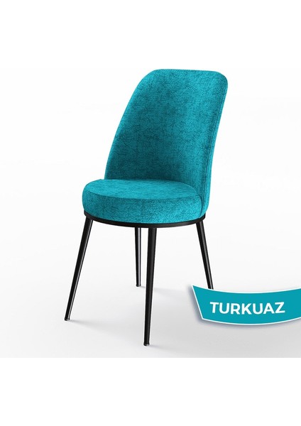 Concept Dexa Serisi Üst Kalite Mutfak Sandalyesi Metal Siyah Iskeletli 6 Adet Sandalye