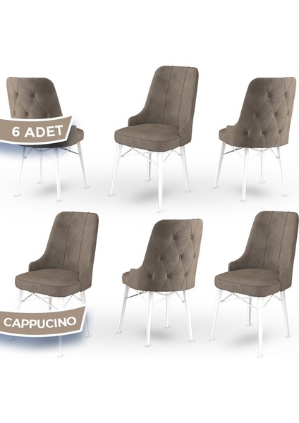 Concept Araz Serisi Babyface Ithal Kumaş Sandalye Beyaz Gürgen Ayak 6 Adet Sandalye