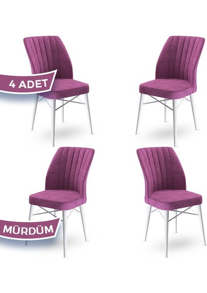 Concept Flex Serisi, Üst Kalite Mutfak Sandalyesi Gürgen Beyaz Ahşap Ayak 4 Adet Sandalye