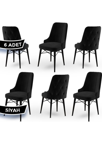 Concept Araz Serisi Babyface Ithal Kumaş Sandalye Siyah Gürgen Ayak 6 Adet Sandalye