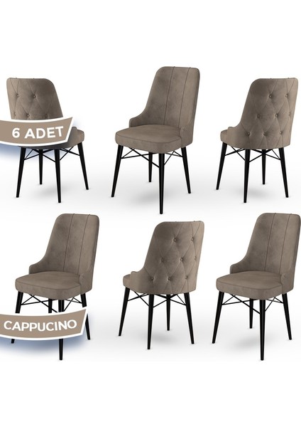 Concept Araz Serisi Babyface Ithal Kumaş Sandalye Siyah Gürgen Ayak 6 Adet Sandalye