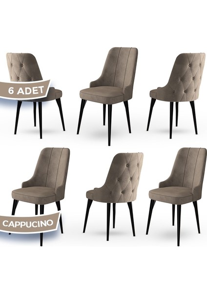 Concept Maya Serisi Babyface Ithal Kumaş Sandalye Siyah Gürgen Ayak 6 Adet Sandalye