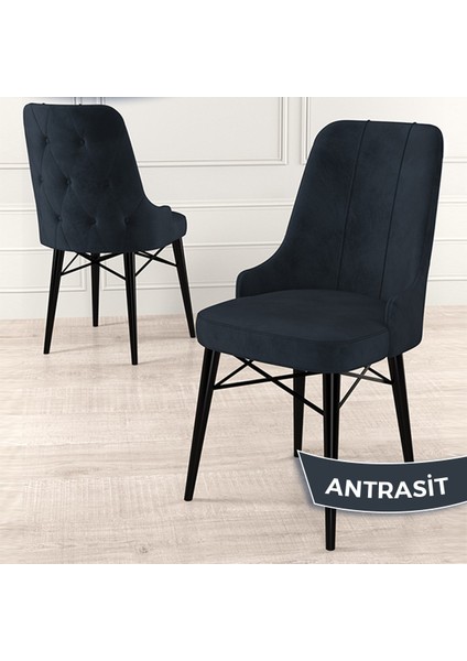Concept Araz Serisi Babyface Ithal Kumaş Sandalye Siyah Gürgen Ayak 4 Adet Sandalye