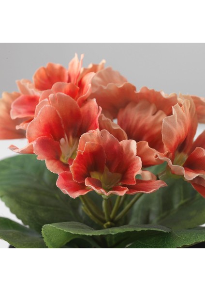 Saksılı Yapay Bitki Çuha Çiçeği, 9 Cm, Iç/dış Mekan fiyatları