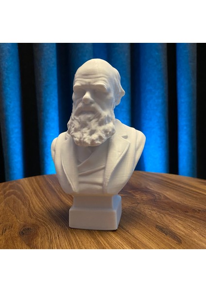 Charles Darwin Büst 13CM Evrim Teorisi Dekoratif Figür