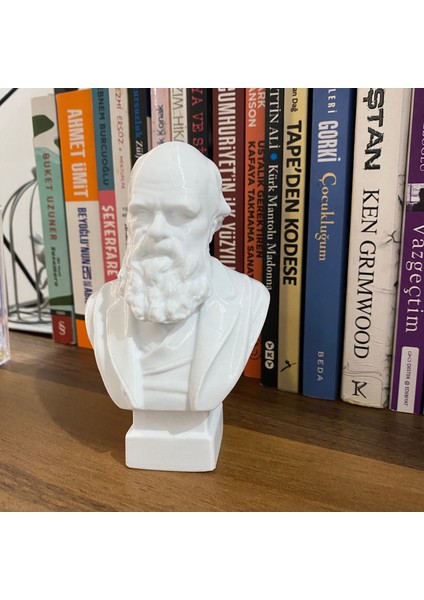 Charles Darwin Büst 13CM Evrim Teorisi Dekoratif Figür