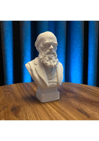 Charles Darwin Büst 13CM Evrim Teorisi Dekoratif Figür