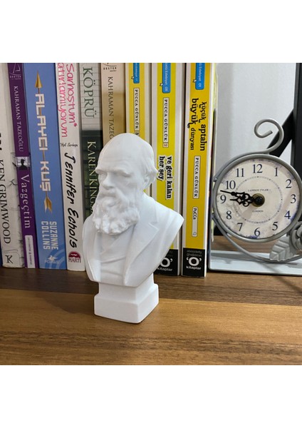 Charles Darwin Büst 13CM Evrim Teorisi Dekoratif Figür