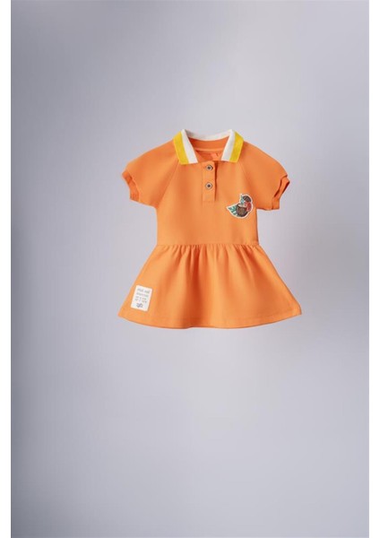 Elbise Polo Yaka