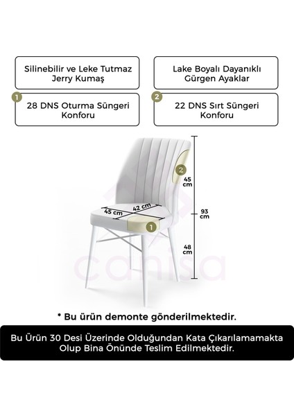 Concept Flex Serisi Üst Kalite Mutfak Sandalyesi Gürgen Ceviz Ahşap Ayak 1 Adet Sandalye