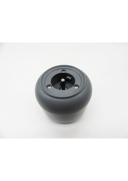 Prostick Çırpıcı Gövde Grubu Gri