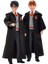 Harry Potter™ Harry Potter™ Sırlar Odası Chamber Of Secrets FYM50 25cm Figür | O/s Core 6