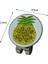Moda Golf Ball Marker Erkekler Için Dayanıklı Şapka Klipsi Kadın Golf Aksesuarları Ananas (Yurt Dışından) 5