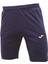4231400-20.068 Hawk M Erkek Spor Şort 1