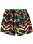 Good Times Layback Erkek Çocuk Boardshort EBBJV00100 2