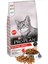 Proplan Somonlu Yetişkin Kedi Maması 1 kg 1