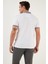 Pamuklu Slim Fit Polo T Shirt Erkek Polo T Shirt 646R4560 5