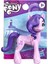 Hasbro My Little Pony F2611 Princess Petals 3