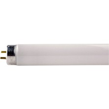 GE Polylux 18W 600MM Colour 860 Daylight White T8 Fluorescent Tube Slimlin