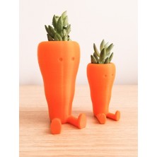 Turansoy Craft Sevimli Havuç Masaüstü Saksı (Çiçeksiz 2 Adet)