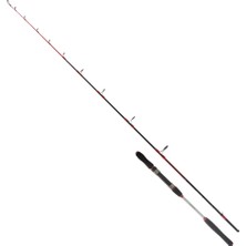 Ryuji Searider 1.80M 60-180GR 2p Jig Kamış