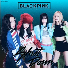 Anime And Your World Blackpink(Rose-Lisa-Jennie-Jisoo) Defter 1 Adet A4 Boyutu 21*29 cm Telli Çizgisiz Büyük Boy 