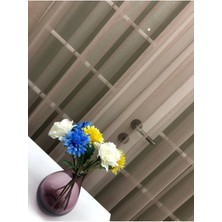 Evdepo Home Taç Vizon Düz Renk, 1/2 Seyrek Pile Tül Perde Tek Kanat - 100 x 260 cm