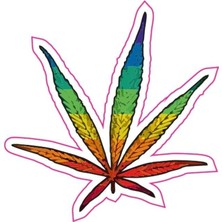 Gogomoto 75 x 75 mm Sticker 10'lu