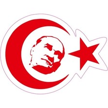 Gogomoto 90 x 70 mm Sticker 10'lu