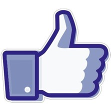 Gogomoto 75 x 90 mm Sticker 10'lu