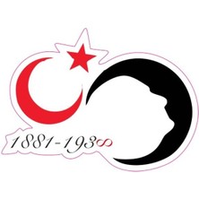 Gogomoto 70 x 100 mm Sticker 10'lu