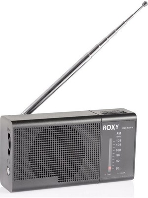 Melek Store Roxy RXY-170FM Cep Tipi Mini Analog Radyo