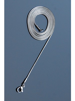 Rua Jewelry Yuvarlak Yılan Model Zincir Paslanmaz Çelik Kolye Gümüş Renk - 1mm
