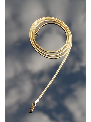Rua Jewelry Yassı Yılan Italyan Zincir Paslanmaz Çelik Kolye Altın Renk-2mm