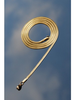 Rua Jewelry Yassı Yılan Italyan Zincir Paslanmaz Çelik Kolye Altın Renk-3mm
