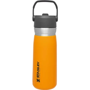 Go Iceflow Pipetli Paslanmaz Çelik Soğuk Su Termosu 0.65 Lt