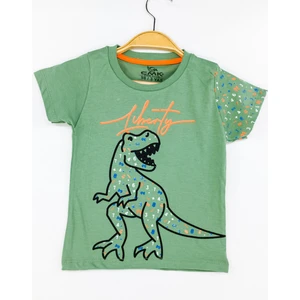 Erkek Çocuk T-Shirt