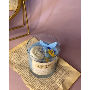 Sea Oyster Candle