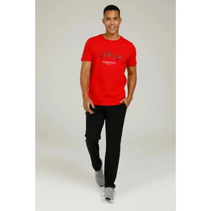 Regular Fit Kırmızı Erkek T-Shirt 2S11CT10443FX