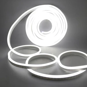 Neon 12V Hortum Şerit Led Işık