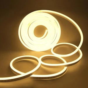 Neon 12V Hortum Şerit Led Işık