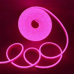 Neon 12V Hortum Şerit Led Işık
