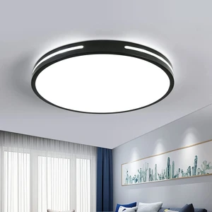LED Tavan Lambası, Modern Tekli Yuvarlak Tavan Lambası, Çap 30 Cm, 6500 K (Yurt Dışından)
