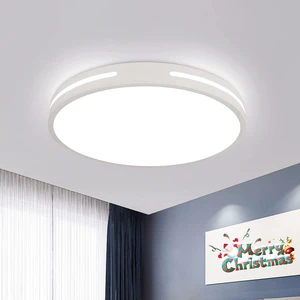 LED Tavan Lambası, Modern Tekli Yuvarlak Tavan Lambası, Çap 30 Cm, 6500 K (Yurt Dışından)