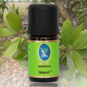 Nu-Ka Defne Essencia Organik Niaouli Yağı 5 ml . Aromaterapi Uçucu Yağ Cilt ve Bakım Yağı