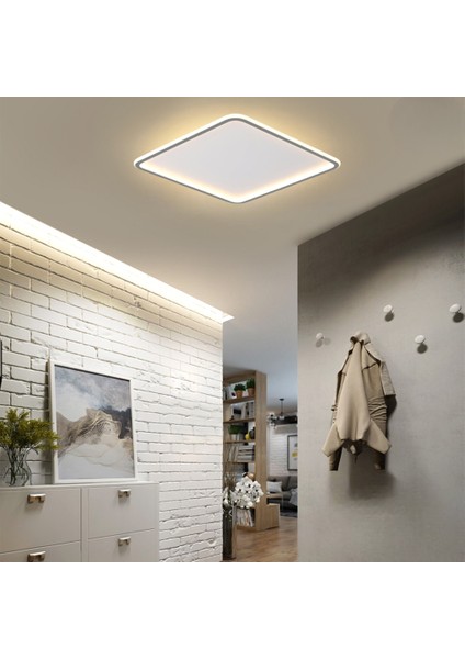 CL54100 Antrasit Kumandalı,Dimli,3 Işık Rengi,50X50CM Kare LED Tavan Lambası,Avize,Modern Aydınlatma