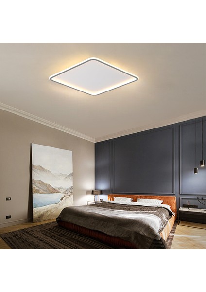 CL54100 Antrasit Kumandalı,Dimli,3 Işık Rengi,50X50CM Kare LED Tavan Lambası,Avize,Modern Aydınlatma