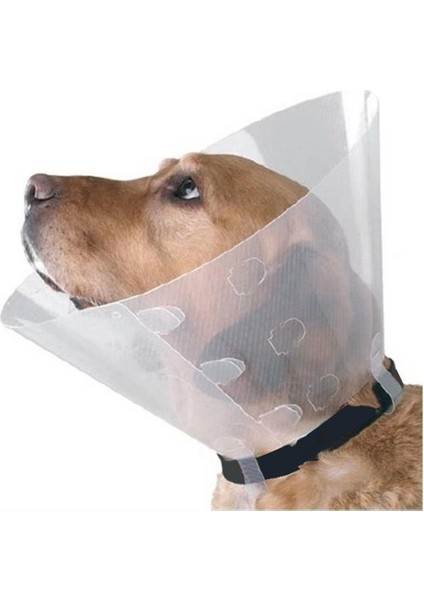 Tales - Yakalık Şeffaf - 20 cm