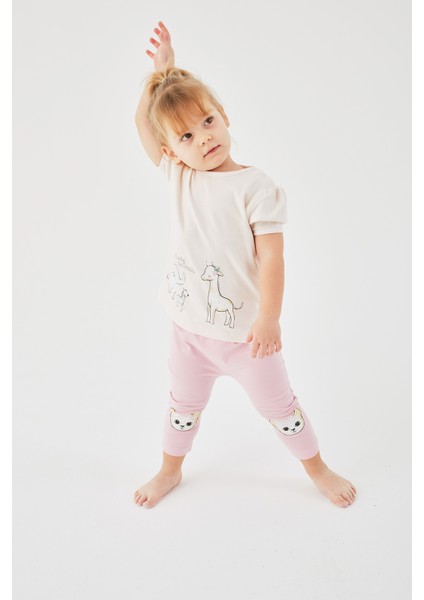 Kız Bebek Tshirt fırsatları