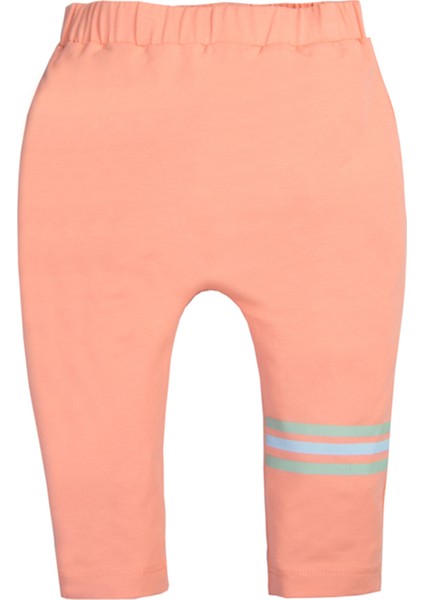 Erkek Bebek 2li Pantolon Set fiyatları